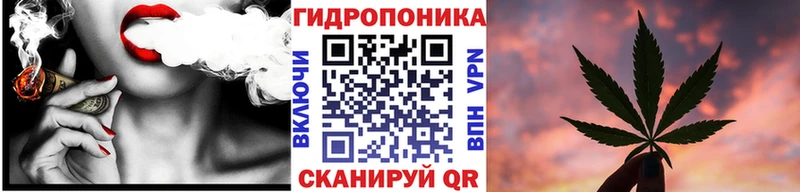 KRAKEN ссылки Томари Бошки марихуана план